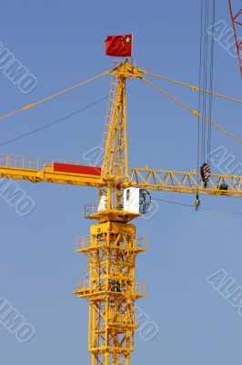 Chinese crane