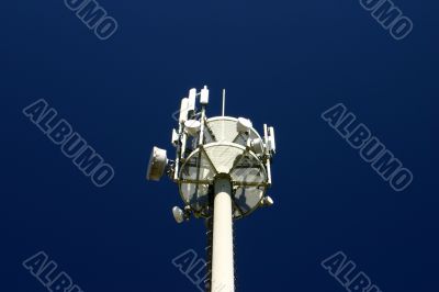 Head of cell mast