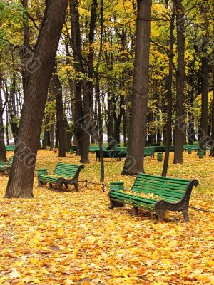 Empty bench in urban park in autumn