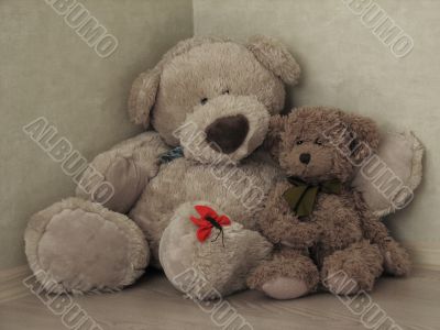 Two teddy bears in the corner