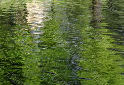 Abstract pond background