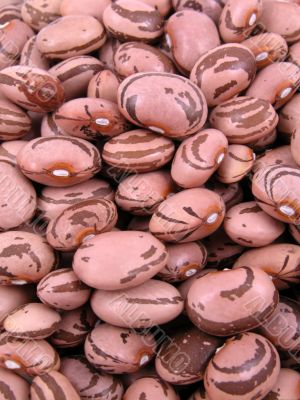 brown beans close-ups