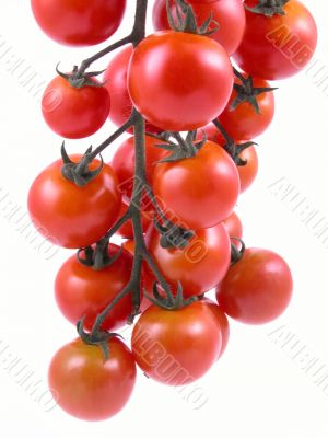 cherry tomatoes