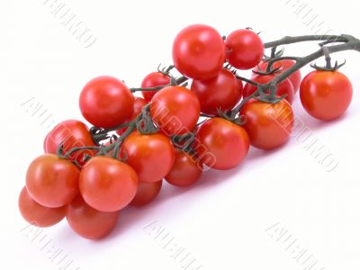 cherry tomatoes