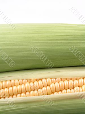 corn on the cob