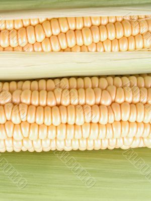 corn on the cob