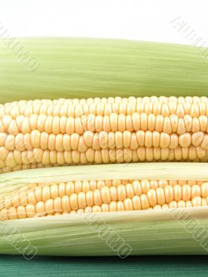 corn on the cob