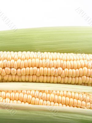 corn on the cob
