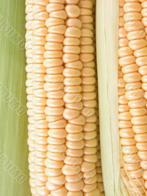 corn on the cob