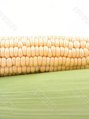 corn on the cob