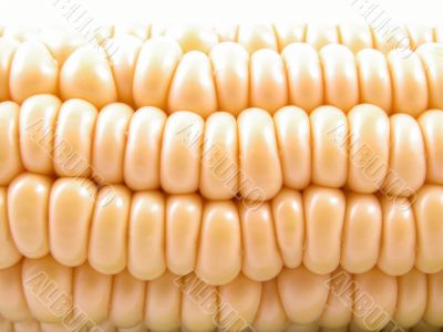 corn on the cob