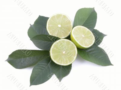limes on leaves close-ups