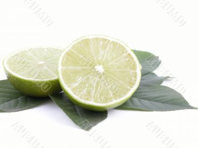 lime on leaves close-ups