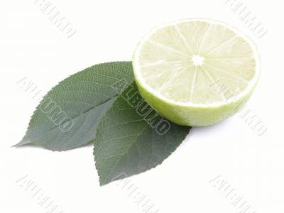 lime on leaves close-ups