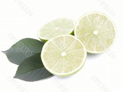 lime on leaves close-ups