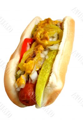 Hot Dog