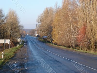 Autumn road with deep blue sky