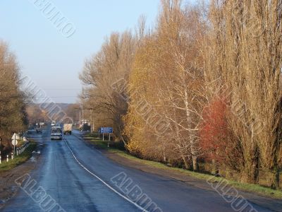 Autumn road with deep blue sky