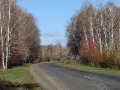 Autumn road with deep blue sky