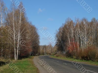 Autumn road with deep blue sky