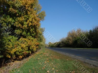 Autumn road with deep blue sky