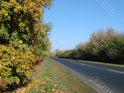 Autumn road with deep blue sky