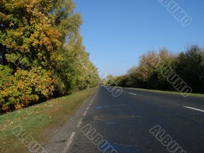 Autumn road with deep blue sky