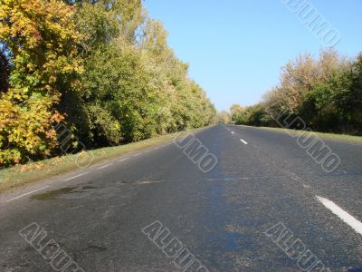 Autumn road with deep blue sky