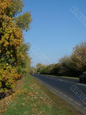 Autumn road with deep blue sky