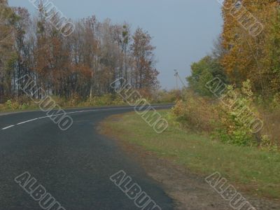 Autumn road with deep blue sky