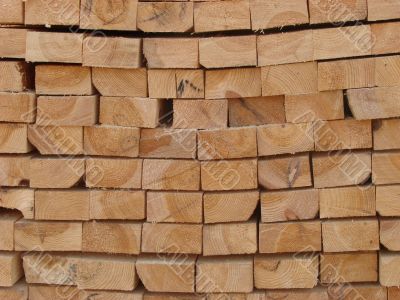 Butt side of wooden logs stack