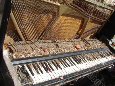 The Old Broken Piano Among Ruins