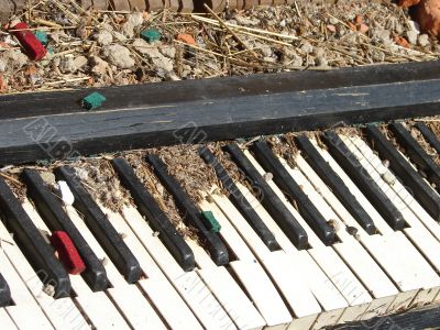 The Old Broken Piano Among Ruins