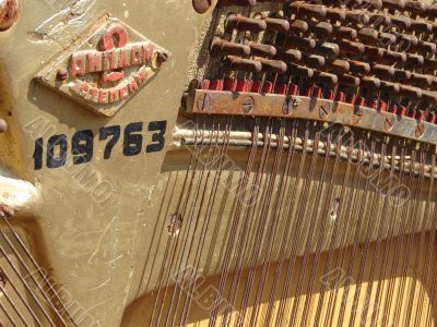 The Old Broken Piano Among Ruins