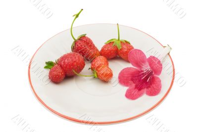 Strawberries on a saucer, isolated on white