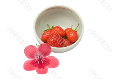 Strawberries in a cup, isolated on white