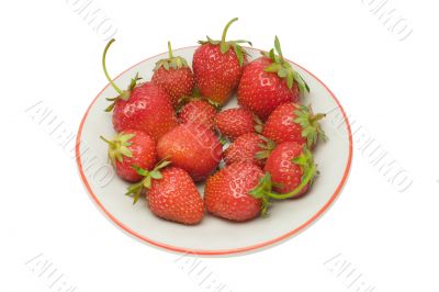 Strawberries on a saucer, isolated on white