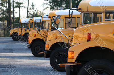 School Buses