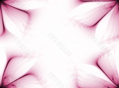 Petals Border