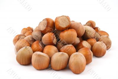 hazelnuts
