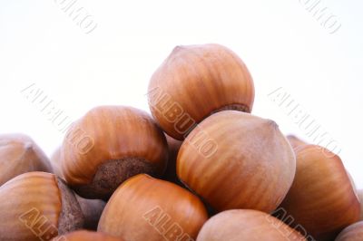 hazelnuts