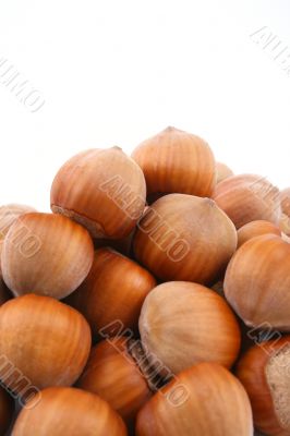 hazelnuts