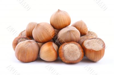 hazelnuts