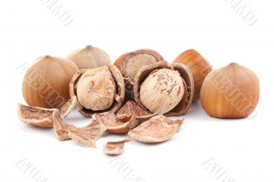 hazelnuts