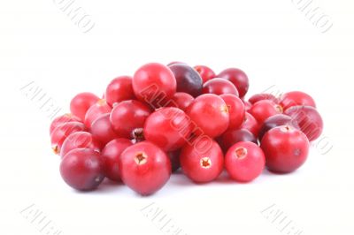 cranberries