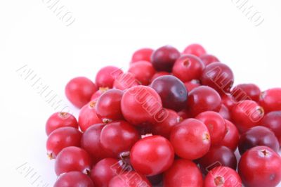 cranberries