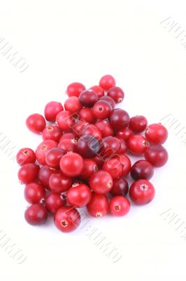 cranberries