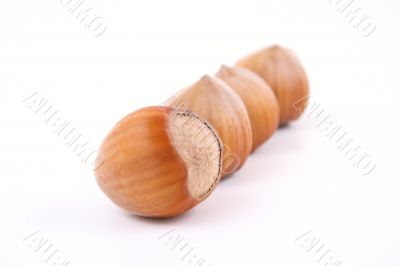 hazelnuts