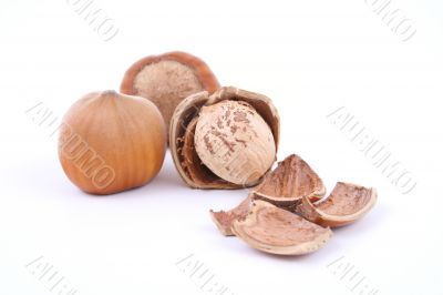 hazelnuts