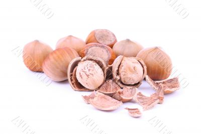 hazelnuts